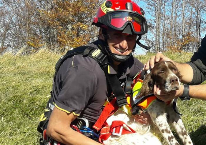Montecreto, cane nel dirupo: salvato dall'elicottero vigili del fuoco