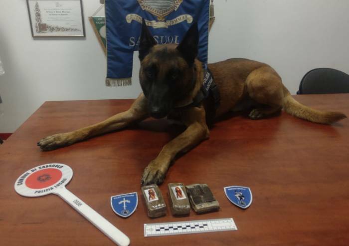 Sassuolo: 350 grammi di droga trovata da Carabinieri e Polizia Locale
