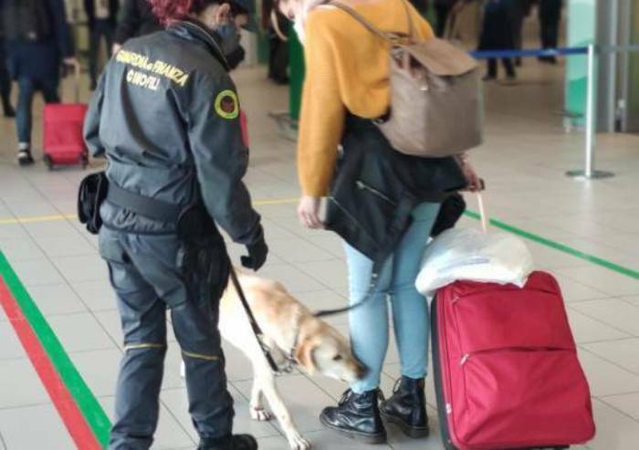 In aereo con 4000 compresse di antidolorofici di contrabbando