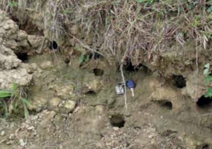 'E' il gambero rosso a minacciare la tenuta degli argini'