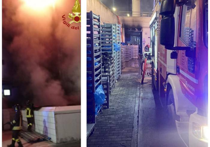 Castelnuovo: incendio nella notte in ditta lavorazione carni