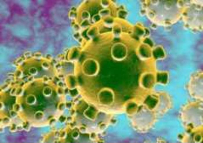 Diffusione ed effetti del Coronavirus: il bollettino settimanale