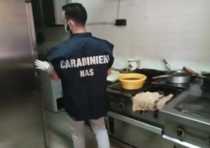 Modena, blatte e ragnatele nel reparto gastronomia di un supermercato