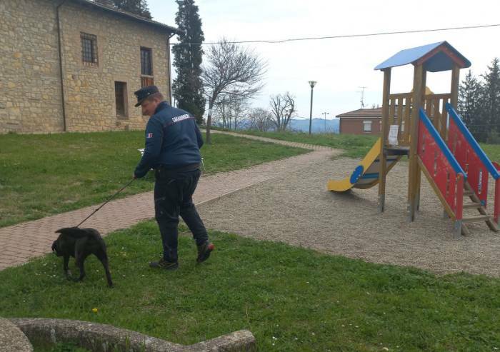 Serramazzoni, cane ucciso dal veleno, interviene Alma