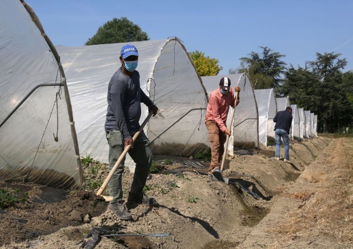 Ingresso lavoratori stranieri: al click day domande triple rispetto a quote