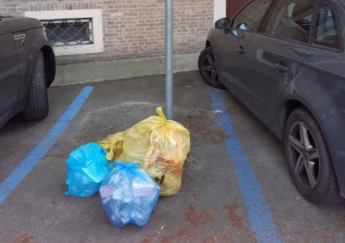 Modena, dalle aiuole ai parcheggi: i rifiuti spuntano ovunque