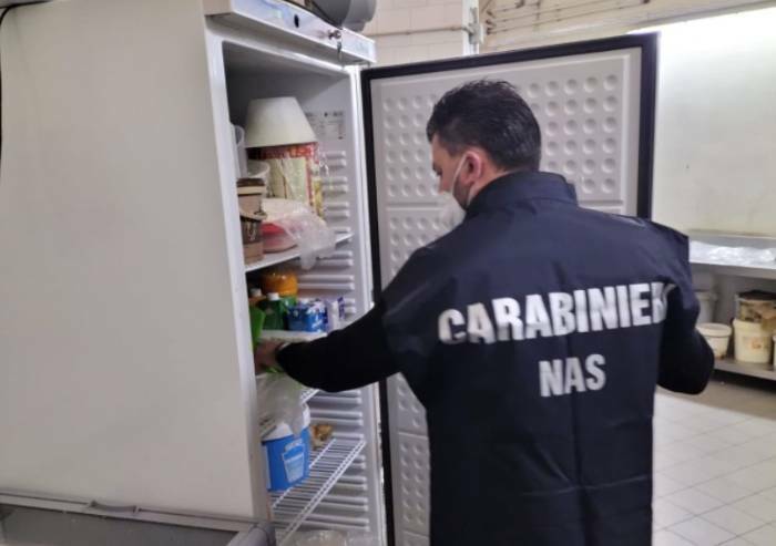 Modena, locale sporco e con blatte: sospeso Kebab