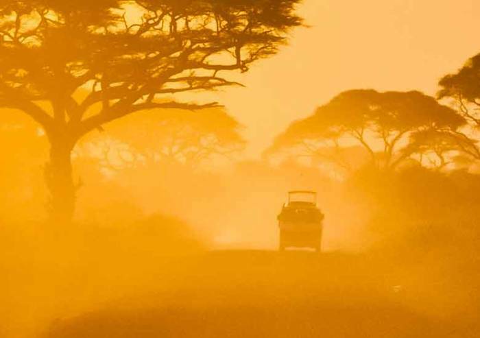 Quanti giorni può durare un safari in Africa
