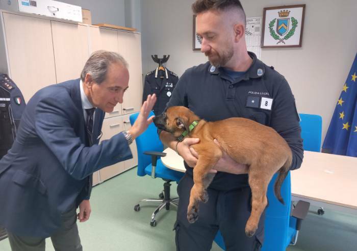 Mirandola, polizia locale si rinforza con un cucciolo di pastore belga