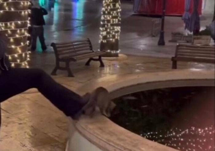 Alberobello, ragazzina calcia gattino in una fontana: muore congelato