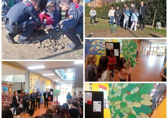 L’albero di Falcone piantato alle scuole Gramsci