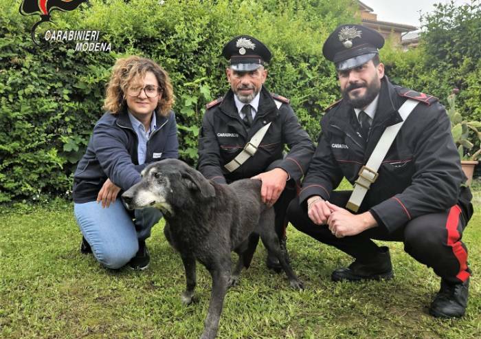Alluvione a Savignano, carabinieri salvano cane intrappolato nel fango