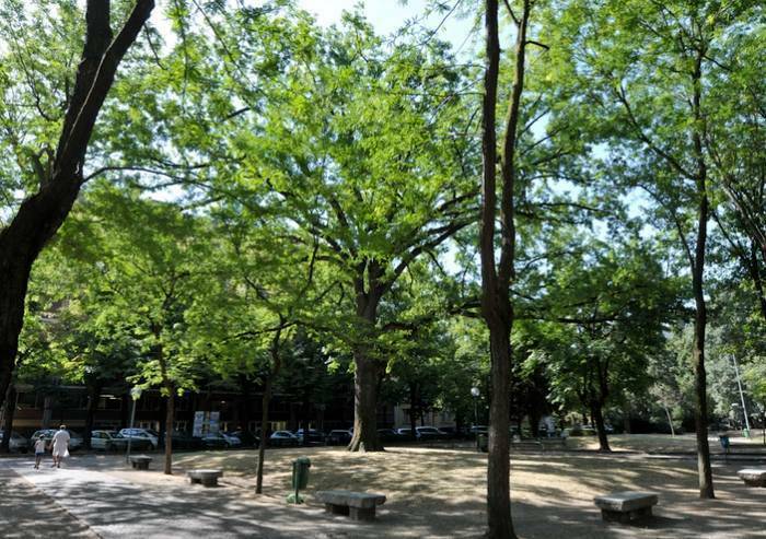 Donna aggredita al parco della Rimebranza: scaraventata a terra per rubarle la borsa