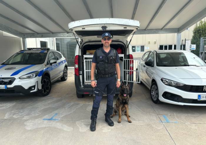 Mirandola: quasi completato l'addestramento dell'agente 'Thor'