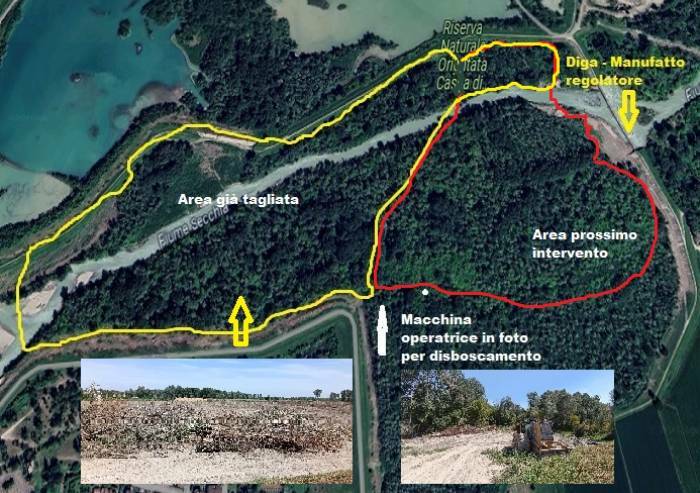 Il grande bosco 'protetto' delle casse di espansione del Secchia ormai raso al suolo