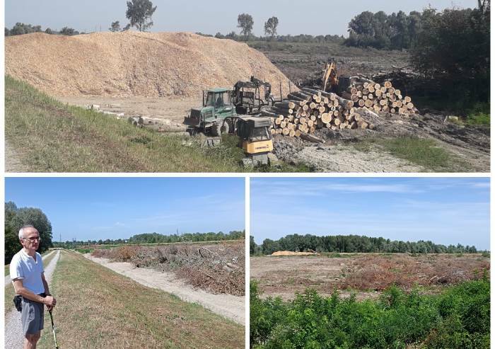 Il grande bosco di Marzaglia ormai ridotto a truciolato