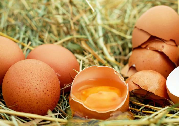 Uova a rischio salmonella: richiamati diversi marchi dai supermercati