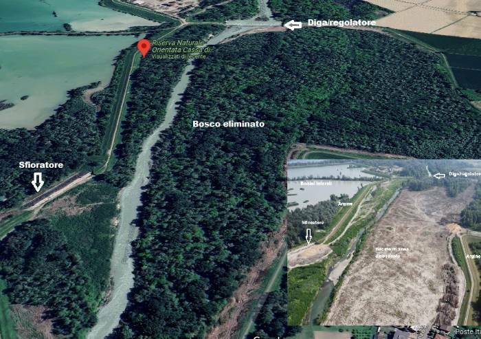 Bosco raso al suolo alla Cassa Secchia, Ente Parchi conferma 'difformità'