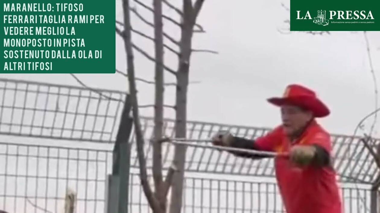 Tifoso Ferrari taglia grossi rami per vedere meglio la nuova F1 in pista