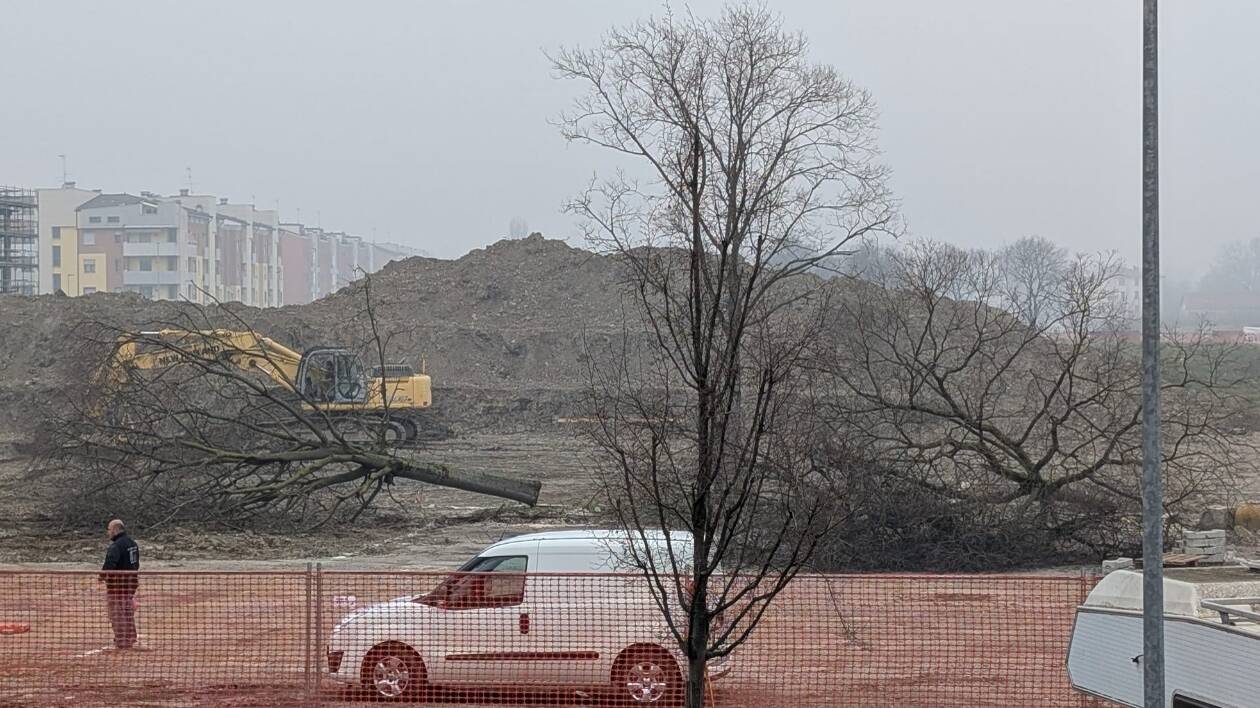 Area ex mercato bestiame: abbattuti gli ultimi alberi, simbolo di un futuro tradito