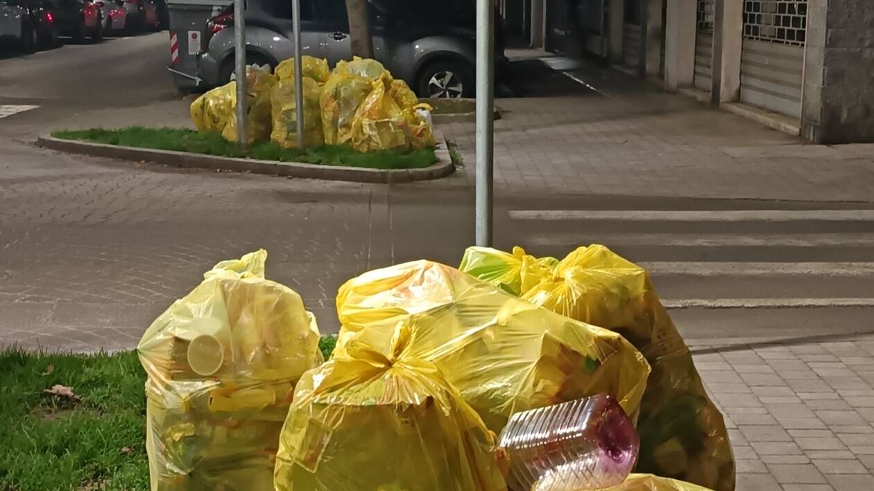 Con i rifiuti in strada più topi segnalati: aumentate le derattizzazioni