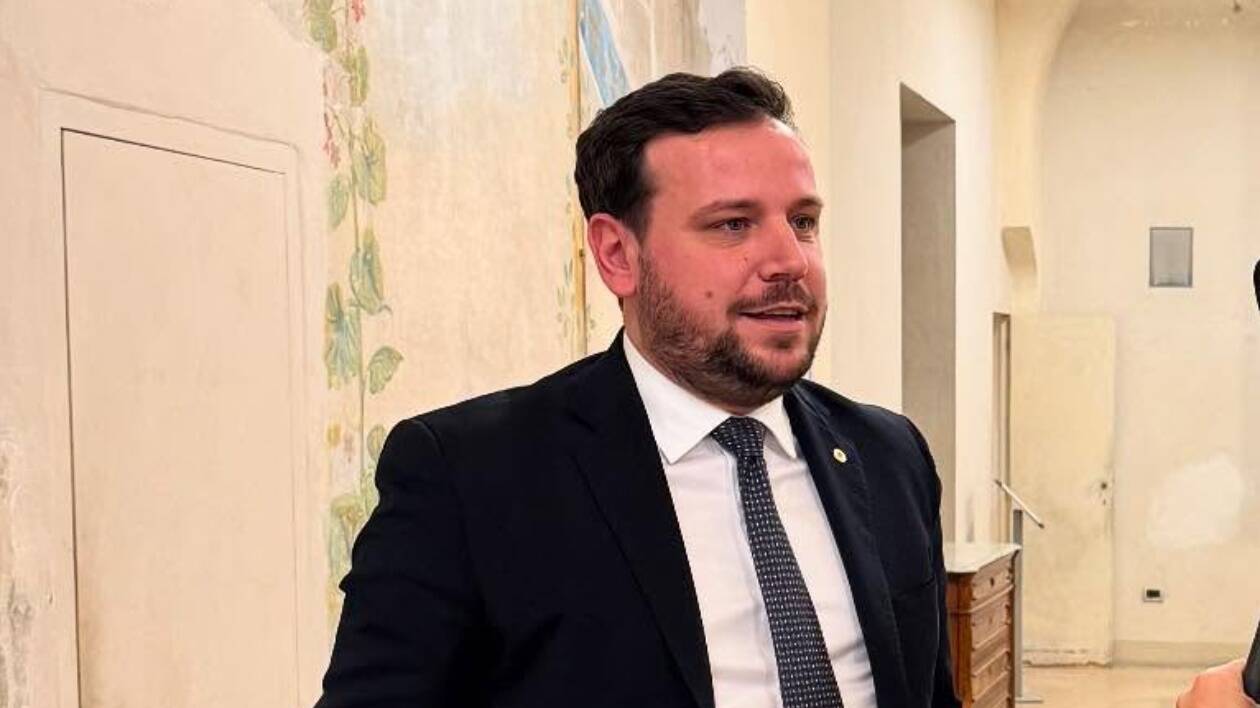 Negrini (Fdi): 'Sicurezza, chat controllo vicinato usata per fini politici'