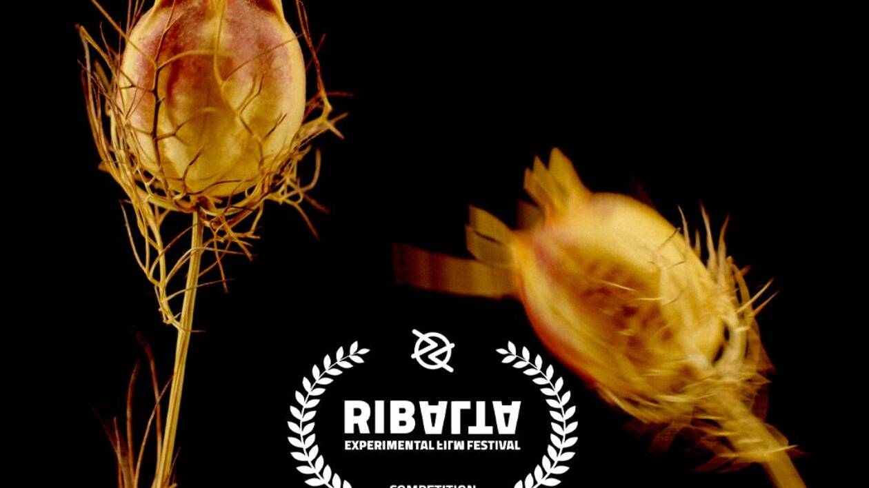 Il Ribalta Experimental Film Festival torna con la quinta edizione