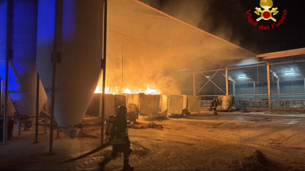 Modena: rogo nella notte in azienda agricola a Portile, salvo il bestiame