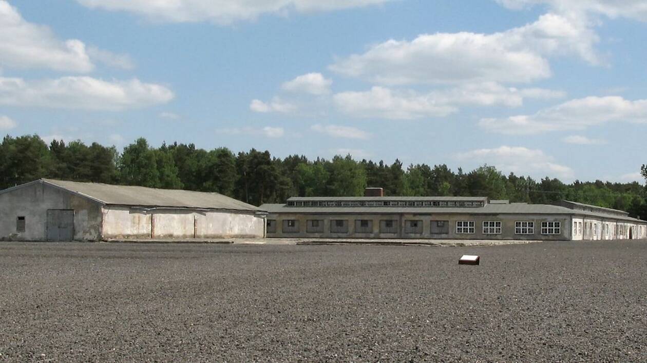 Modena, viaggio della Memoria a Berlino per studenti dell'Ipsia Corni