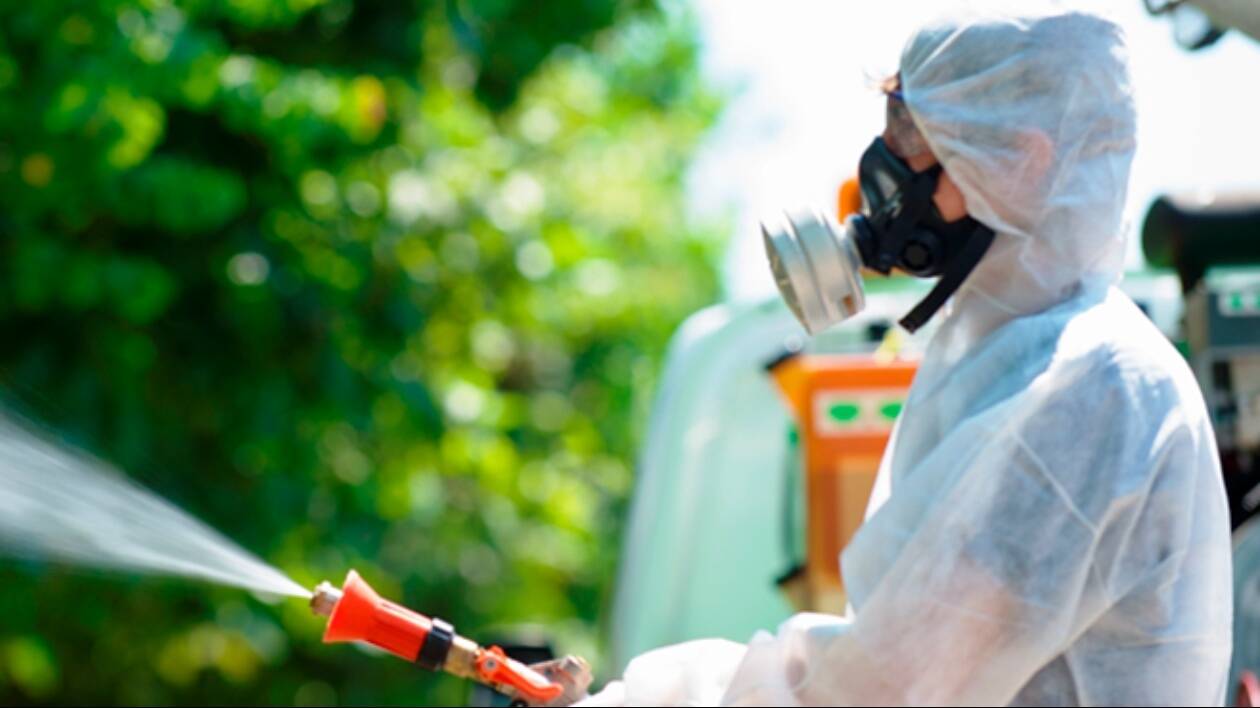 Chikungunya a Modena: disinfestazioni nella zona di via Siena