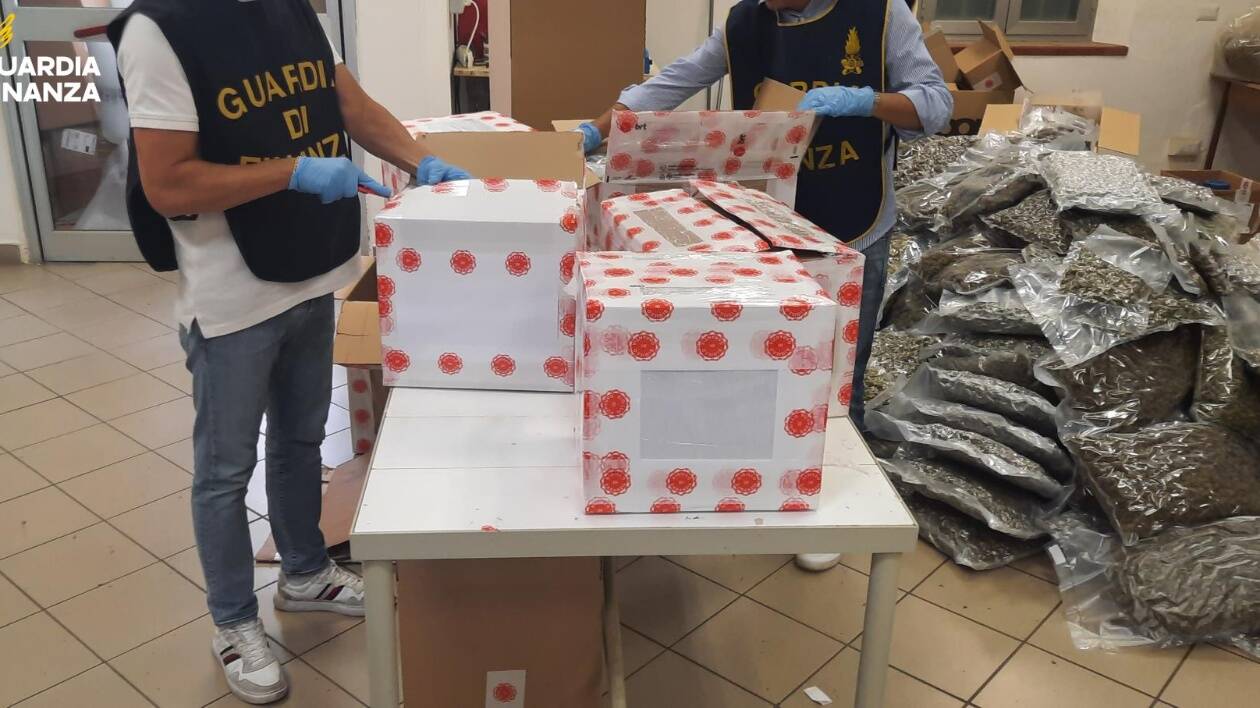 Sequestrati 500 chili di derivati della canapa a imprenditore modenese