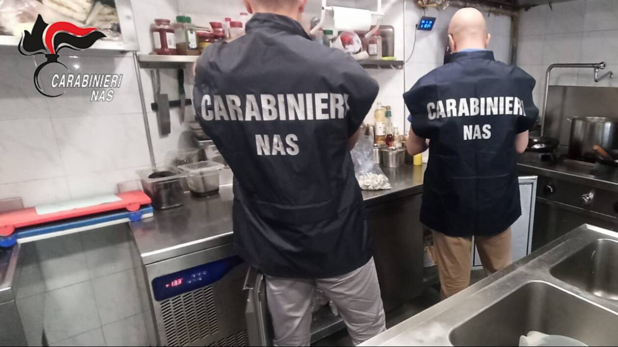 Nas di Parma, sequestrati 47 chili di alimenti tra Modena e Piacenza