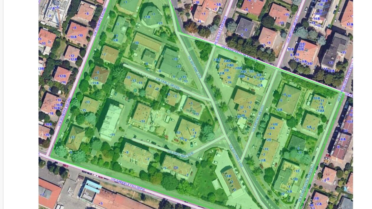 Chikungunya a Carpi, nuove disinfestazioni a Cibeno e in via Dosi