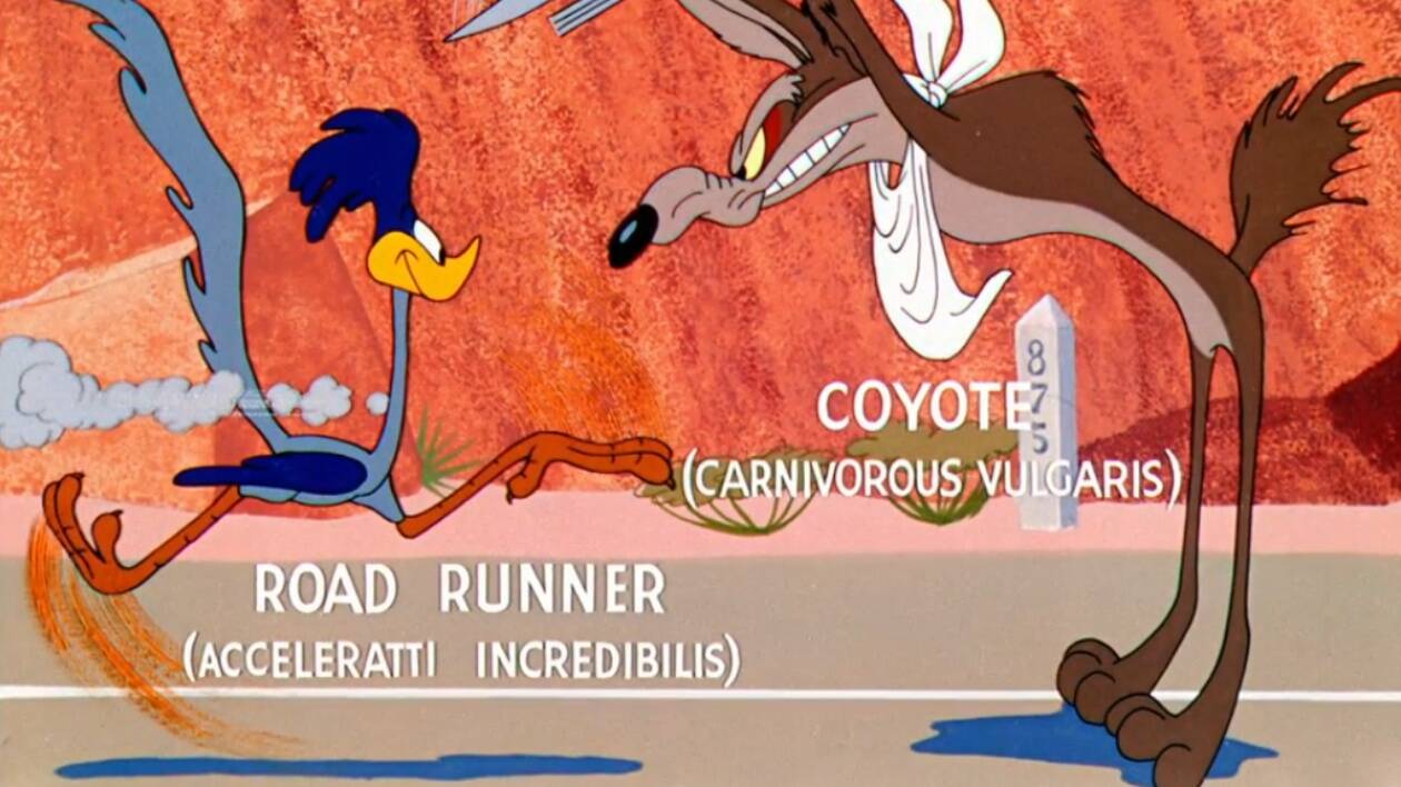 Primo episodio di Willy Coyote e Beep Beep: 16 settembre 1949