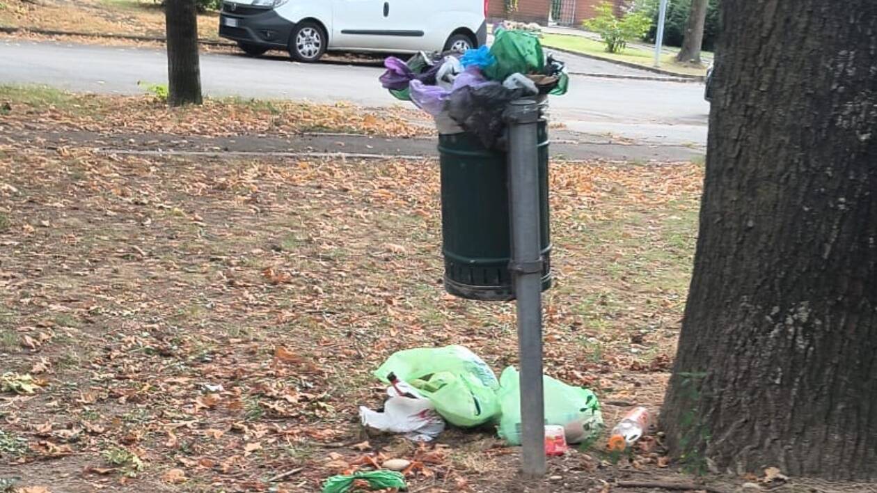 Bastiglia, sporcizia e degrado nei parchi e al cimitero situazione fuori controllo