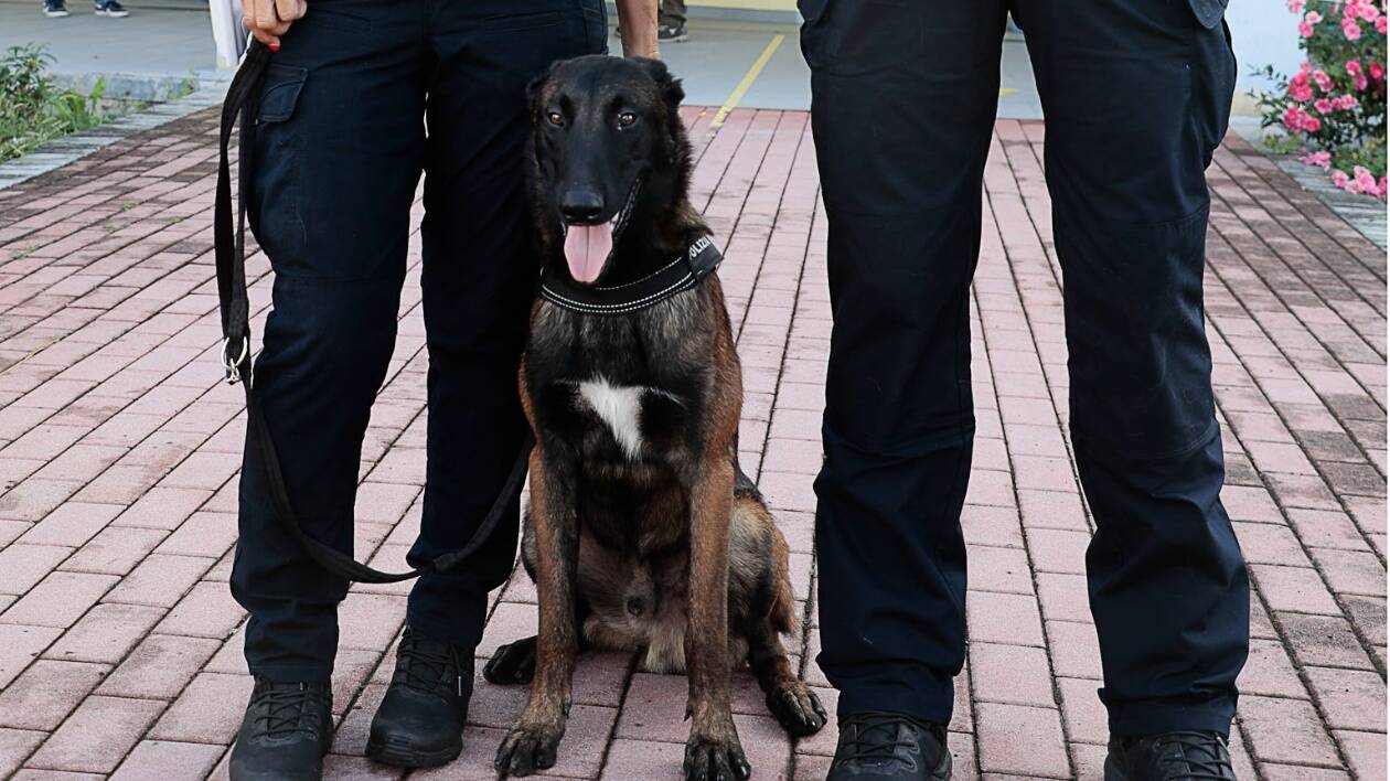 Modena, cittadini chiamano la polizia locale: ritrovati due panetti di hashish nel parco