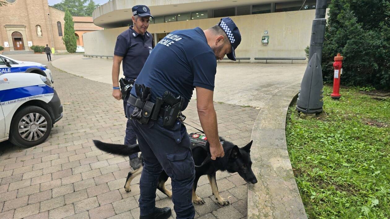 Vignola, tunisino accoltella a una gamba un marocchino: arrestato