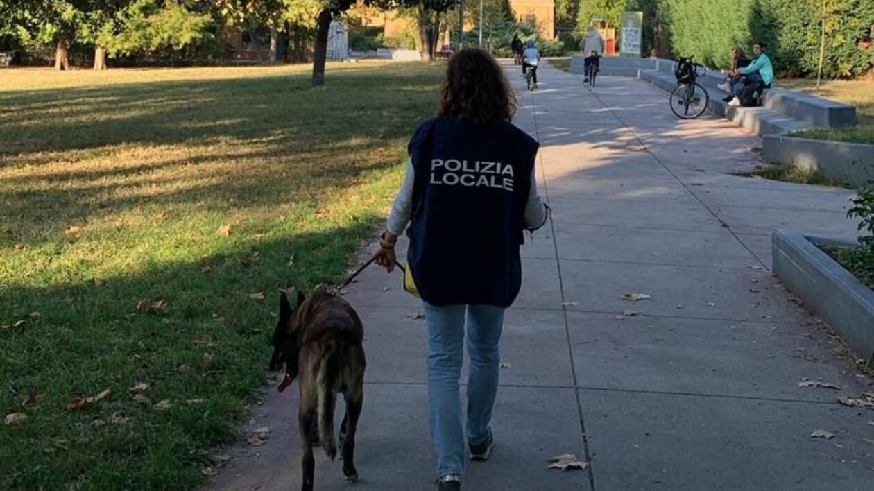 Modena, controlli al parco XXII aprile: sequestrate 14 dosi di marijuana