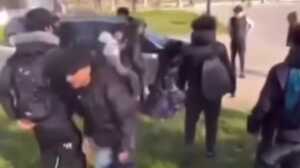 https://www.lapressa.it/articles/074113/modena-mezzetti-immigrati-devianza-baby-gang-TN.jpg
