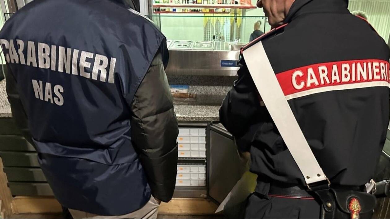 Modena, movida nel mirino: controlli dei Nas in un locale: sequestrati 30 chili di carne e pesce