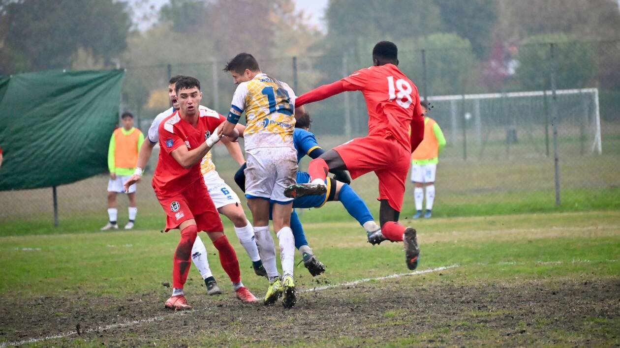 Serie D, mister Gori (Cittadella): 'Abbiamo fatto una grande gara'