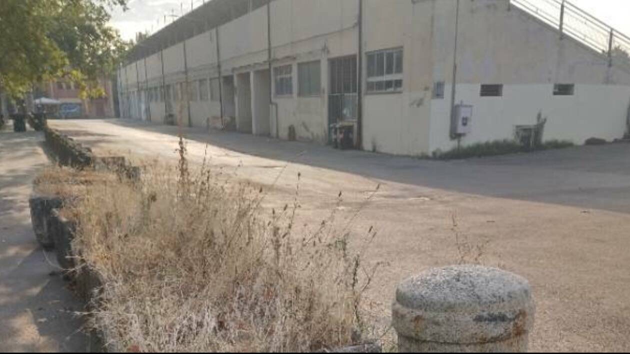 Senza permesso di soggiorno e con precedenti, fermato al Novi Sad: sarà espulso