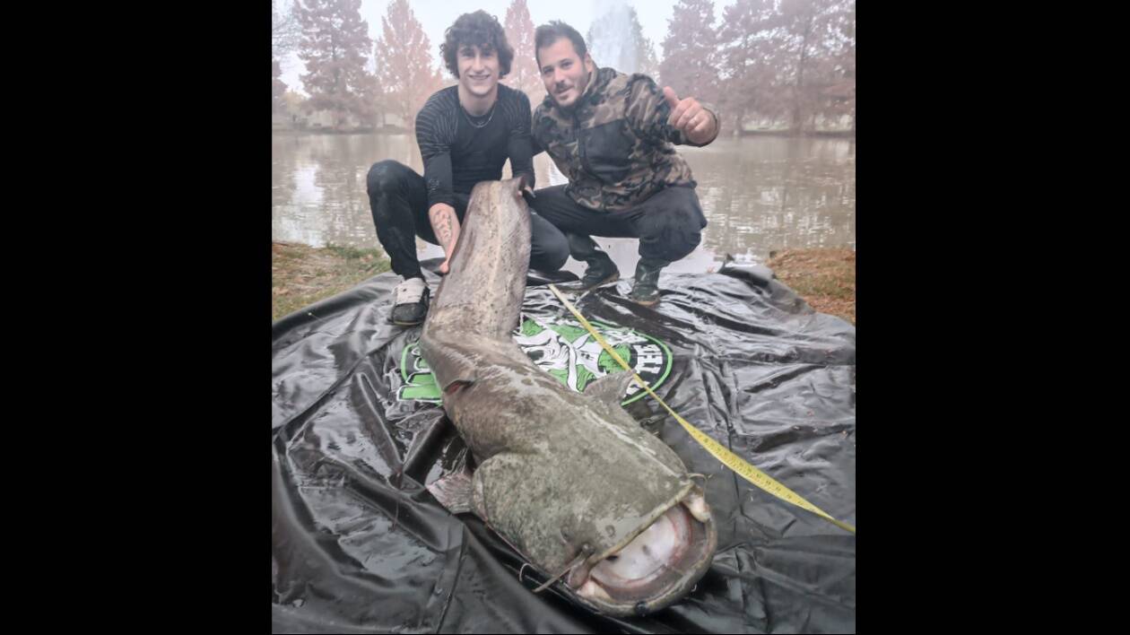 Modena, maxi siluro pescato nel laghetto rotondo