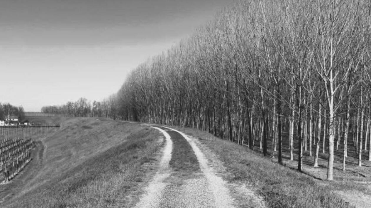 Novi, i ragazzi delle scuole Gasparini mettono in scena la Battaglia di Rovereto