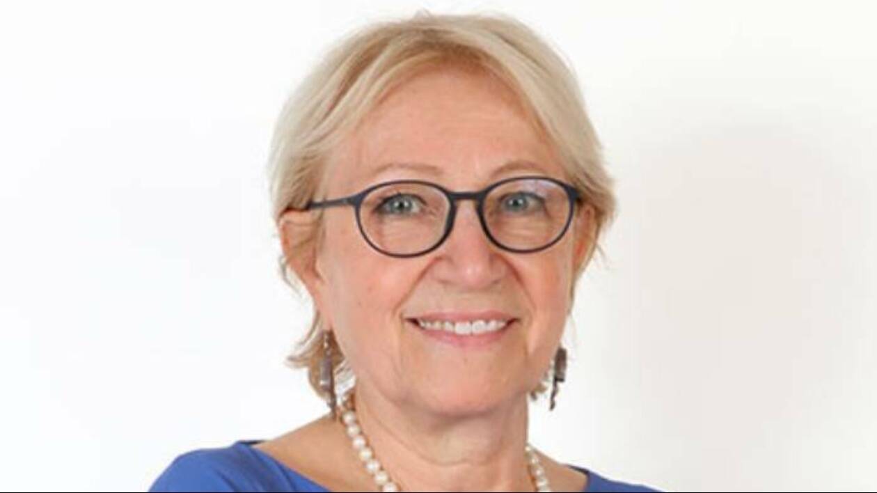 Modena, l'assessore Ferrari a Italia Nostra: 'Sul Pug considerazioni fuori luogo'