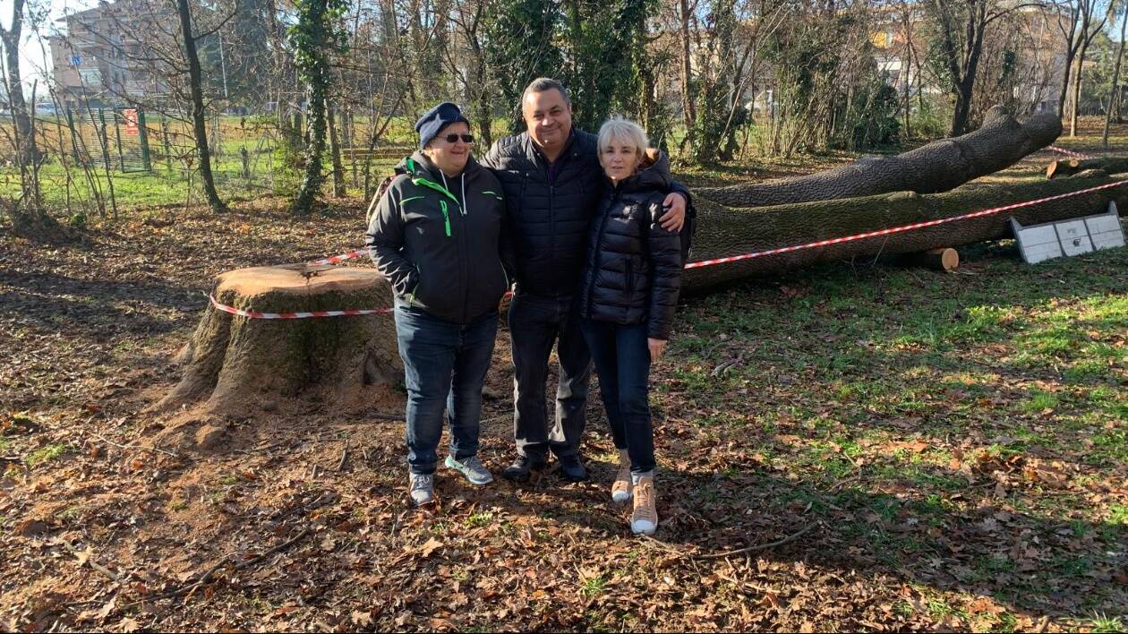 'Parco villa Boschetti a San Cesario, maestosi alberi abbattuti: era proprio necessario?'