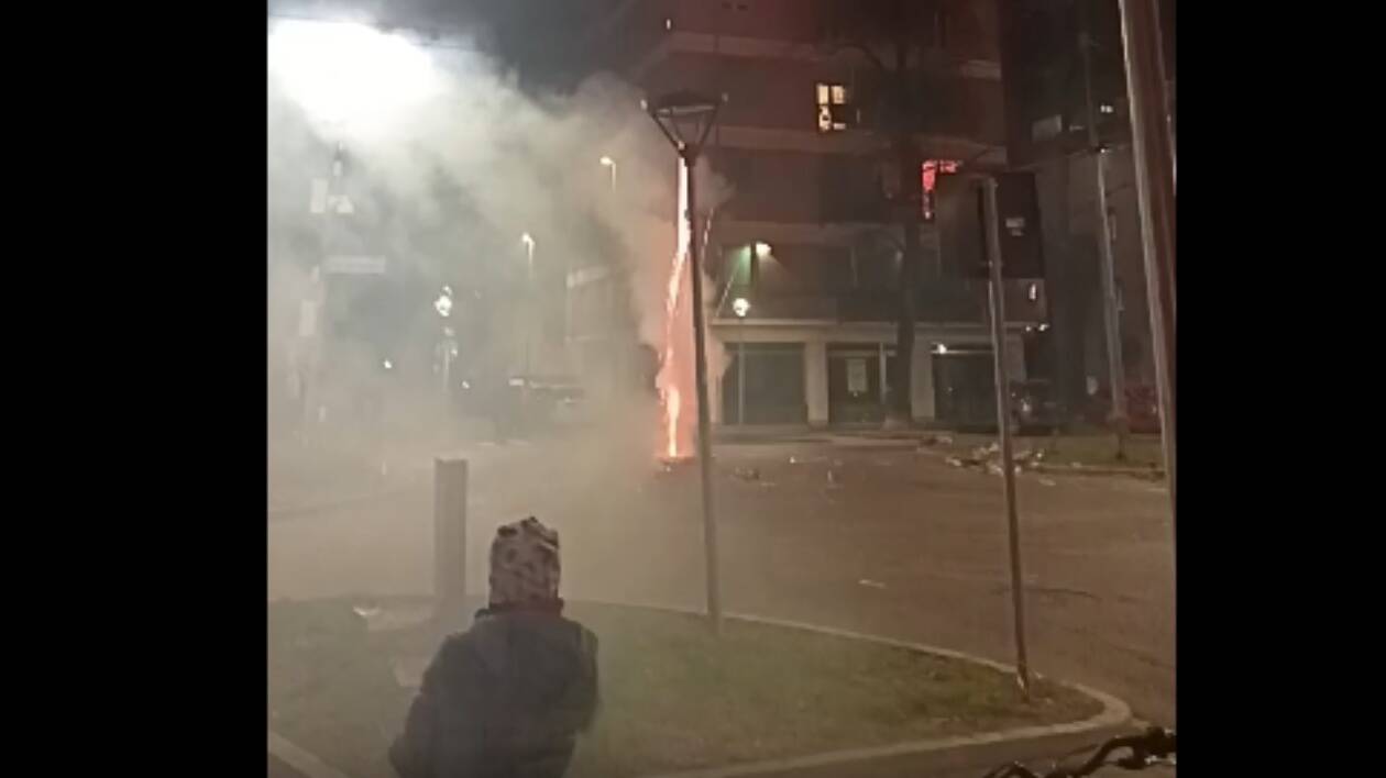 Modena, botti di Capodanno: quanta sofferenza inflitta agli animali per stupidità