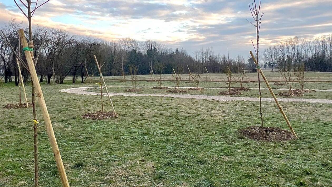 Mirandola, un bosco dedicato a chi ha perso la vita per un tumore