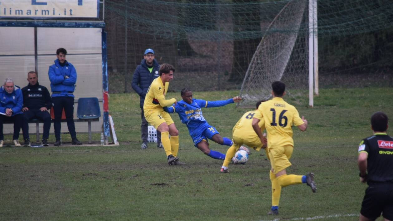 Serie D, Cittadella, mister Gori: 'Ci abbiamo creduto fino alla fine'