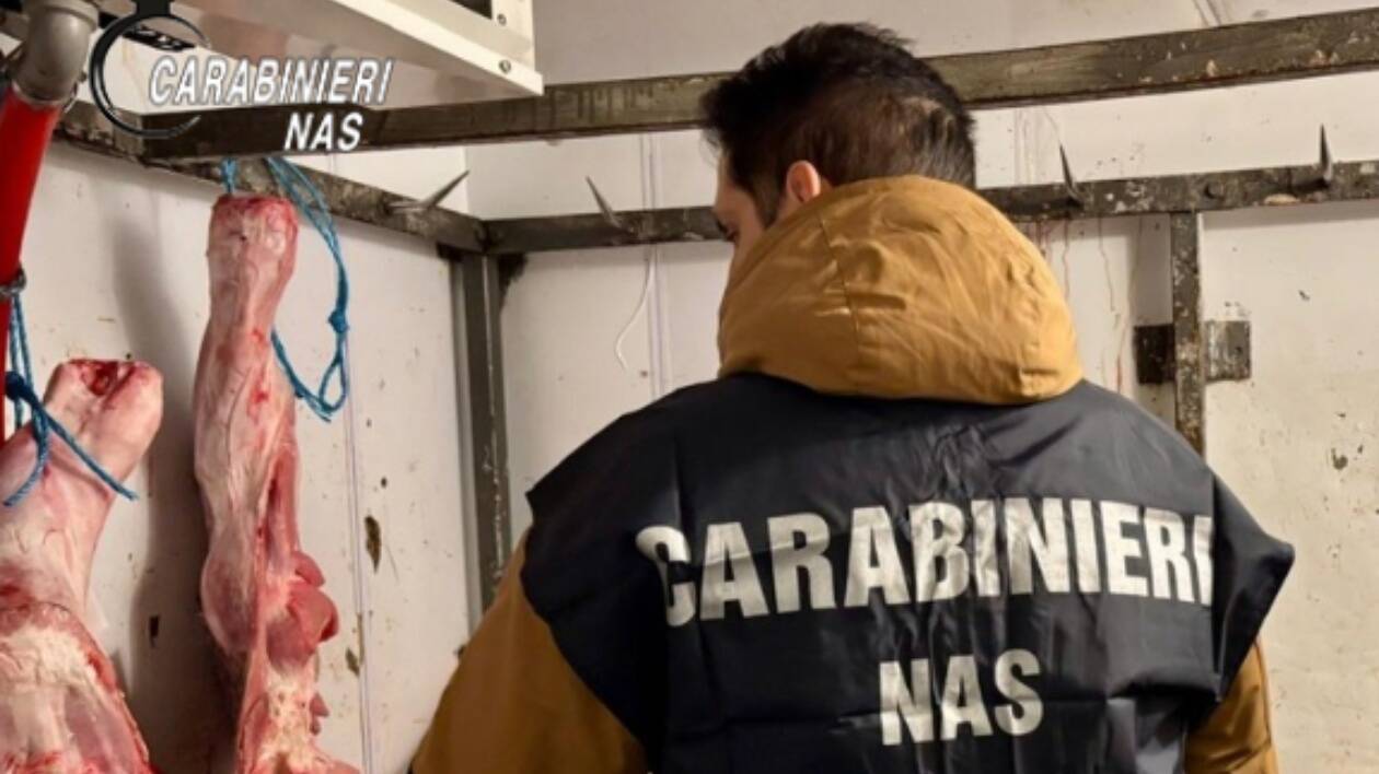 Modena, sequestrati 27 chili di carne in una macelleria della Bassa